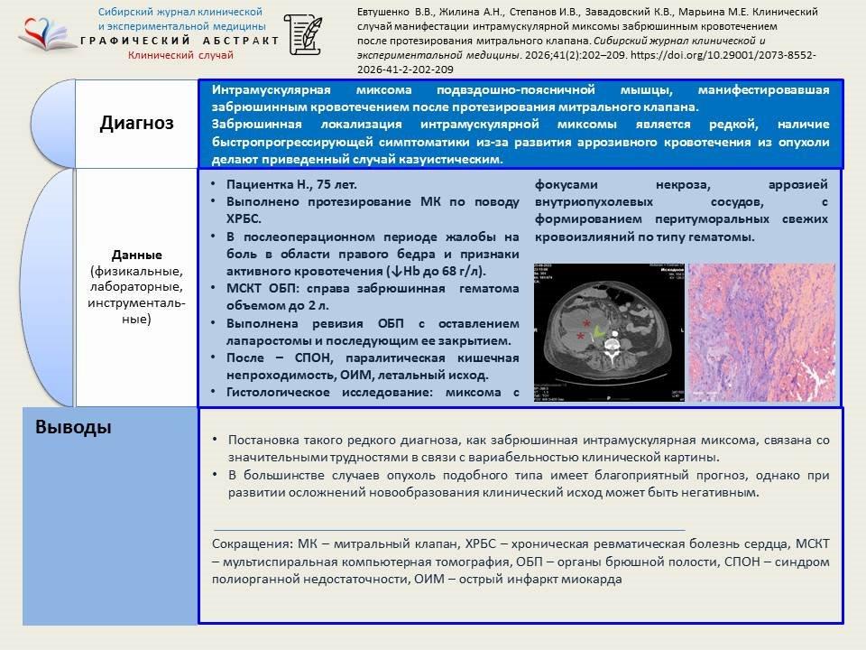 Изображение на обложке
