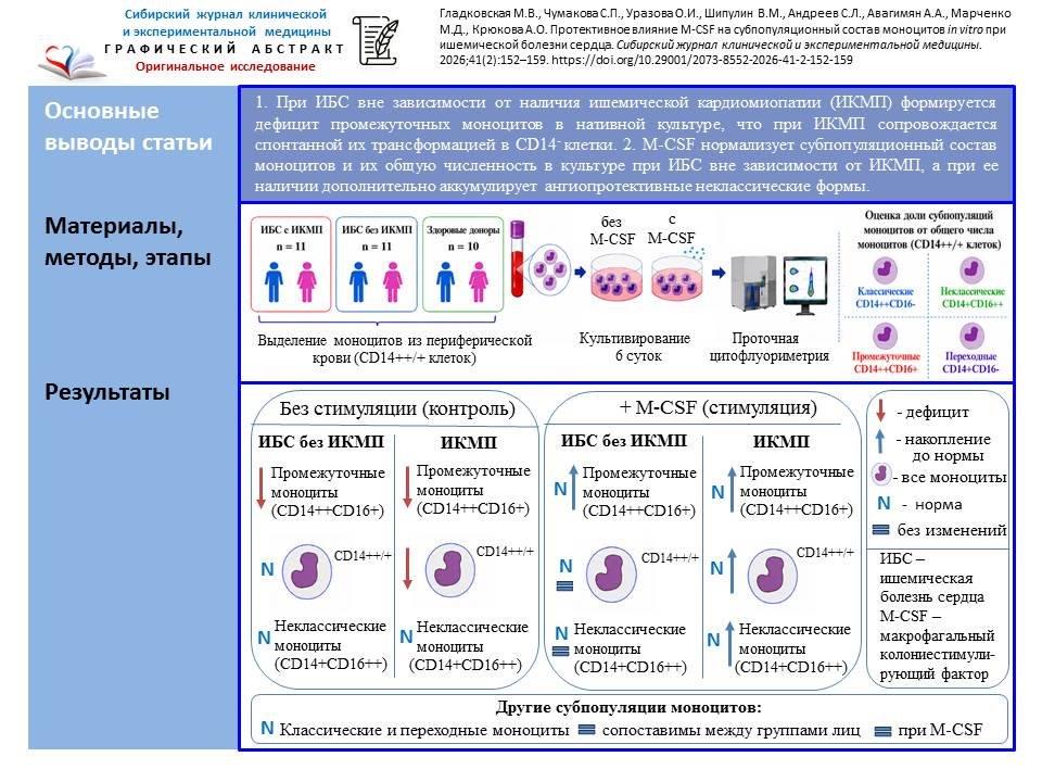 Изображение на обложке
