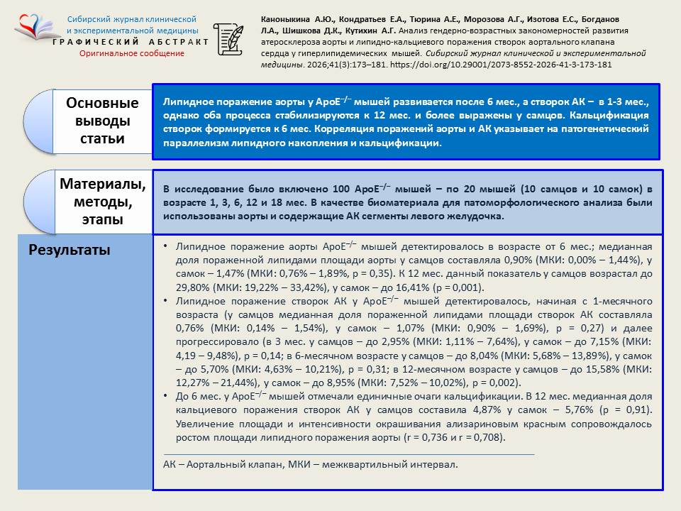 Изображение на обложке